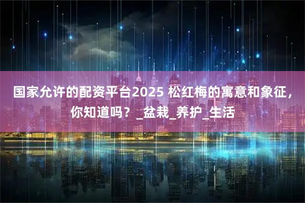 国家允许的配资平台2025 松红梅的寓意和象征，你知道吗？_盆栽_养护_生活